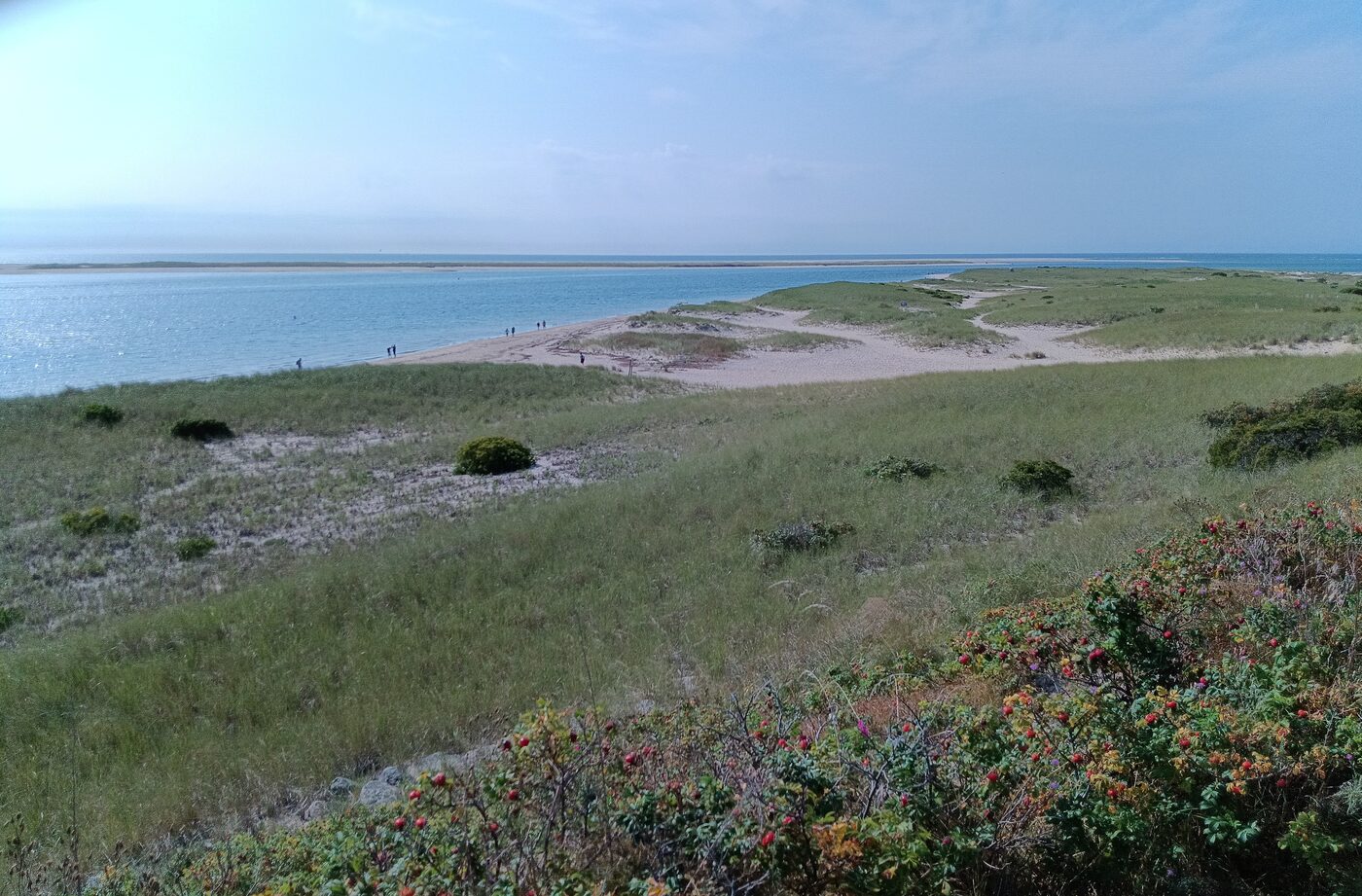 A beach and tidal flat seen over grassy dunes and rose hips, taken with the HiBreak Pro